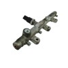 Recambio de rampa inyectora para peugeot 307 (s1) 2.0 hdi cat referencia OEM IAM 0445214019  