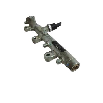 Recambio de rampa inyectora para peugeot 307 (s1) 2.0 hdi cat referencia OEM IAM 0445214019  