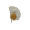 Recambio de deposito expansion para subaru forester s12 2.0 diesel cat referencia OEM IAM 45153AG010 45150AG020 
