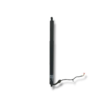 AMORTIGUADORES MALETERO / PORTON 10993225 