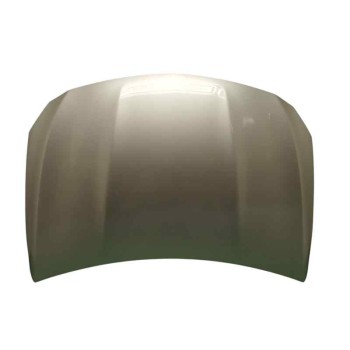 CAPOT A1568800057 GRIS 