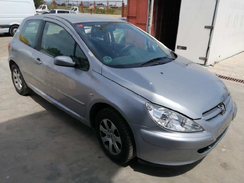 PEUGEOT 307 (S1)