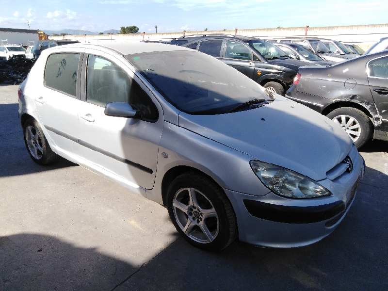PEUGEOT 307 (S1)