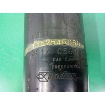 Recambio de amortiguador trasero izquierdo para fiat ducato furgoneta (250_) 180 multijet 3,0 d referencia OEM IAM 1362546080 50