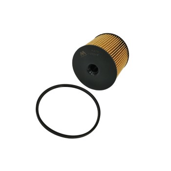 Recambio de filtro gasoil para peugeot dw10 2.0 cc diesel 8 valvulas referencia OEM IAM 1457431713 KX85D 