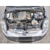 fiat punto (evo) (199) del año 2011