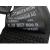 Recambio de cinturon seguridad trasero izquierdo para audi tt (8j3/8j9) 2.0 16v tdi referencia OEM IAM 8J8857805B  