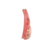Recambio de piloto trasero derecho para peugeot 107 1.0 cat (384f) referencia OEM IAM 815500H040  