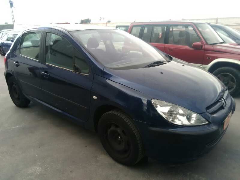 PEUGEOT 307 (S1)