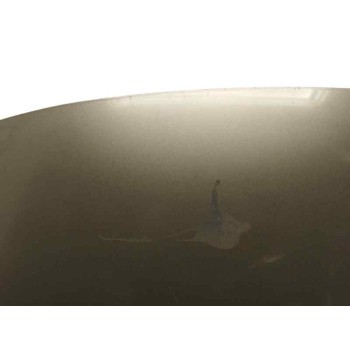 Recambio de capot para renault scenic iii 1.5 dci referencia OEM IAM 651008842R OBSERVAR FOTOS 