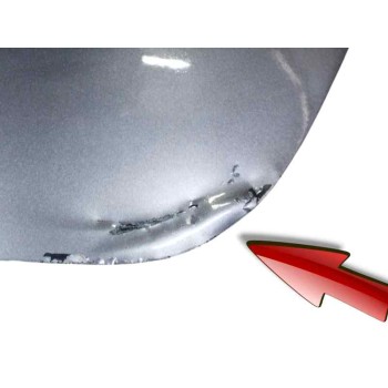 Recambio de porton trasero para renault scenic iii 1.5 dci referencia OEM IAM 901001385R OBSERVAR FOTOS 