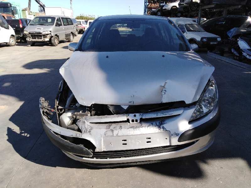 PEUGEOT 307 (S1)