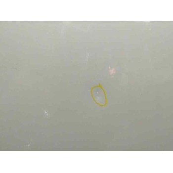 Recambio de puerta delantera derecha para ford kuga (cbv) 2.0 tdci cat referencia OEM IAM P8V41S20124AC 1712678 OBSERVAR FOTOS