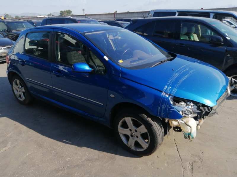 PEUGEOT 307 (S1)