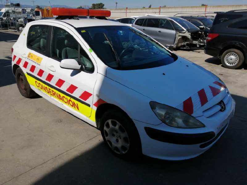 PEUGEOT 307 (S1)