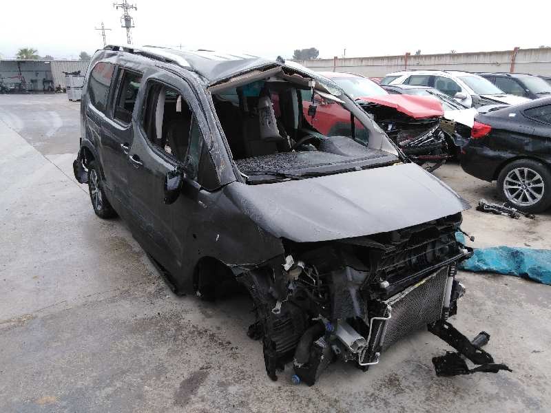 PEUGEOT RIFTER