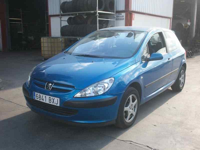 PEUGEOT 307 (S1)