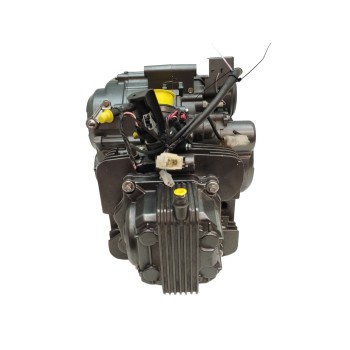 Recambio de motor para benelli bn 125 bn 125 referencia OEM IAM 154FMI6A  