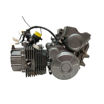 Recambio de motor para benelli bn 125 bn 125 referencia OEM IAM 154FMI6A  