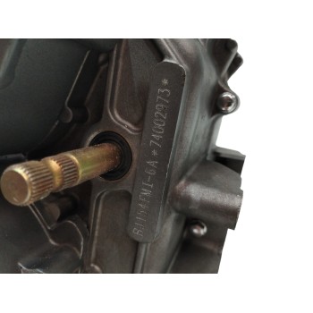 Recambio de motor para benelli bn 125 bn 125 referencia OEM IAM 154FMI6A  