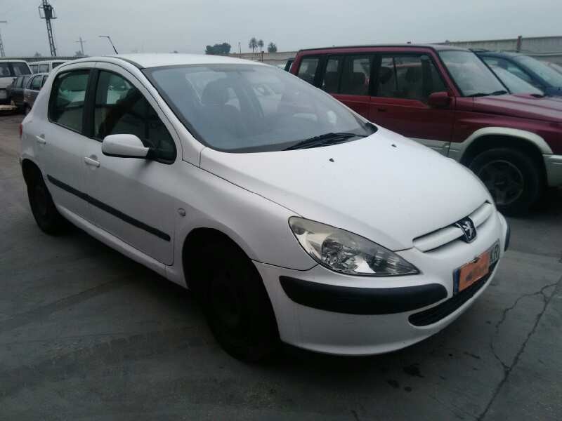 PEUGEOT 307 (S1)