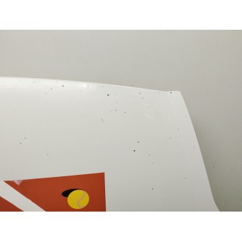 Recambio de capot para renault trafic ii autobús (jl) 2.0 dci 115 referencia OEM IAM   