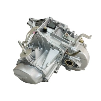 Recambio de caja cambios para citroën c15 d referencia OEM IAM 20CM17  