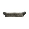 Recambio de intercooler para bmw x5 (e53) 3.0d referencia OEM IAM 17517791231  