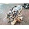 Recambio de motor completo para renault clio ii fase i (b/cbo) 1.9 diesel referencia OEM IAM F8Q630  